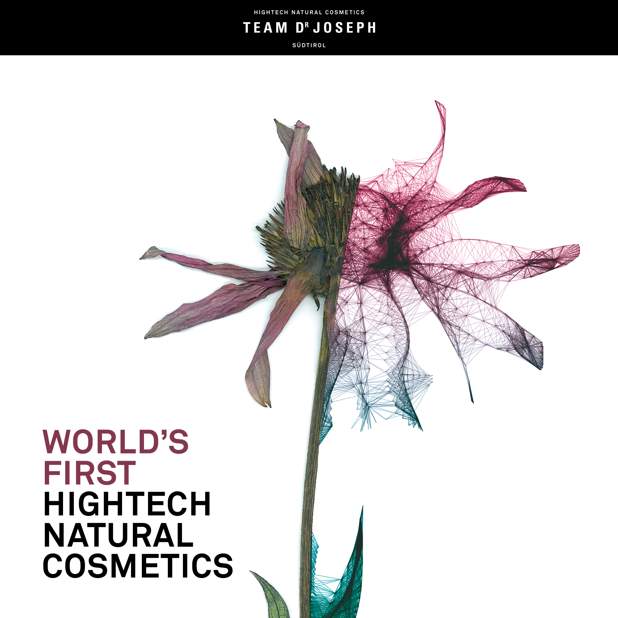 Team Dr. Joseph Naturkosmetik Produkte